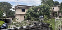 Wallace Way (D11), Detached #529107081
